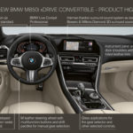 BMW Serie 8 Cabrio 2019 G14 (33)